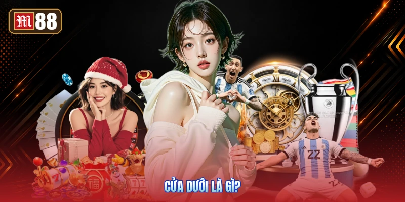 Cửa Dưới Là Gì?