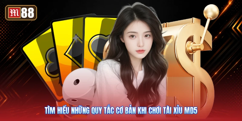 Tìm Hiểu Những Quy Tắc Cơ Bản Khi Chơi Tài Xỉu MD5